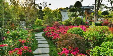 福建 花花世界 驚艷世界園藝博覽會 漳浦鮮花綻放