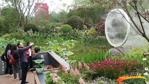 聚焦花博會 花卉園藝大比拼 燕趙芳華 花正香