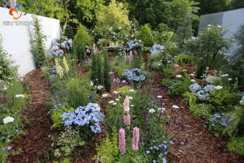 把花園搬回家 家庭園藝展又來啦