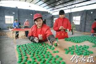 鄉(xiāng)鎮(zhèn)經(jīng)濟發(fā)展系列報道之一