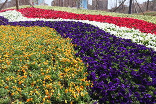 青島世界園藝博覽會隨拍