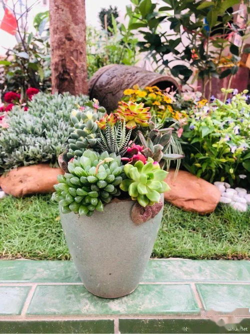 1㎡的小把戲,園藝真會讓人上癮