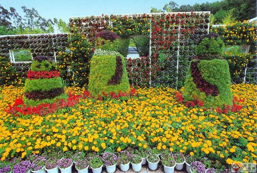 花卉園藝為 美麗福建 增姿添彩