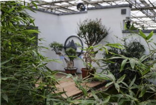 長春農(nóng)博園都市園藝讓人置身于世外桃源