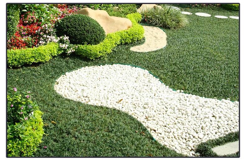 天然鵝卵石園林綠化造景石頭鵝卵石庭院鋪路鋪地小石子