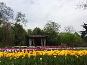 學(xué)習(xí)園藝專業(yè)該如何規(guī)劃大學(xué)生活