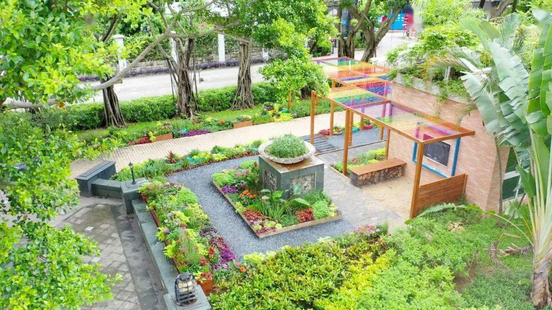 福田區(qū)社區(qū)共建花園4--益田花園點(diǎn)彩人家社區(qū)共建花園絢彩亮相