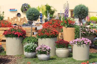 園藝成癮,進(jìn)階致high:皇家園藝學(xué)會CEO現(xiàn)場解讀切爾西花展