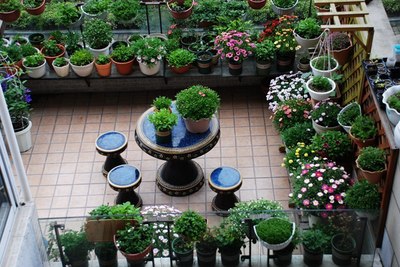 河景房15㎡露臺打造&ldquo;小花園&rdquo;,網友:后悔沒買個帶露臺的房子!