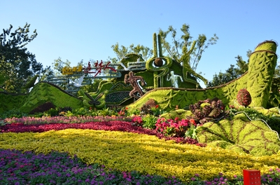 &ldquo;三帶八橋十二園多點&rdquo;,濟南1100余萬盆鮮花迎國慶