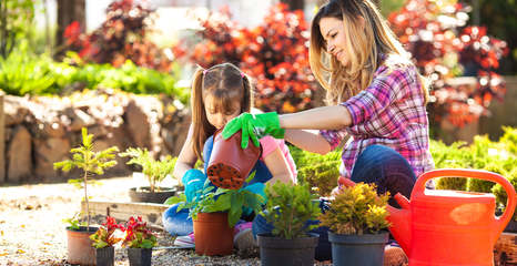 2022園藝數據報告|千禧一代成主力軍,美國市場高達百億規模