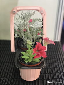 美得很 充滿創意的家庭園藝產品