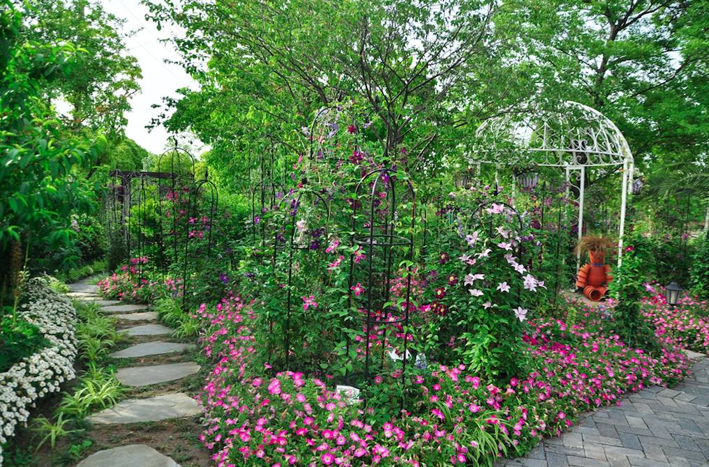 上海家庭園藝展|書香花藝,五大特色展,5月花季陪你HIGH翻天!