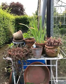 比利時的私人花園 探尋園藝帶來的生活樂趣