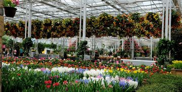 寧夏園藝產業園門票,寧夏園藝產業園門票預訂,寧夏園藝產業園門票價格,去哪兒網門票