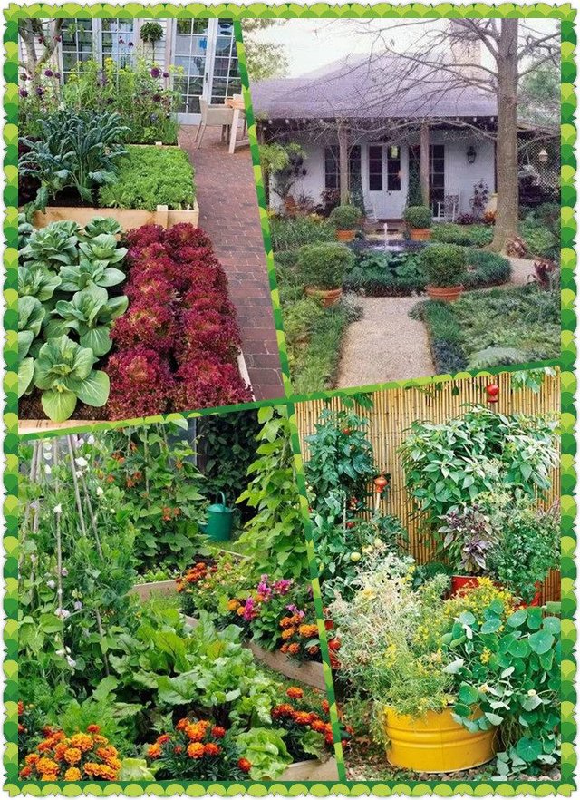 【別樣設計】別墅花園變菜園后更美了