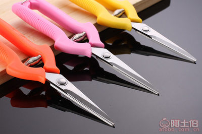 【巧得利廠家直銷不銹鋼果枝剪摘果稀果剪葡萄采摘剪刀園藝剪修枝剪巧337#】金華市龍劍五金廠 - 產(chǎn)品庫