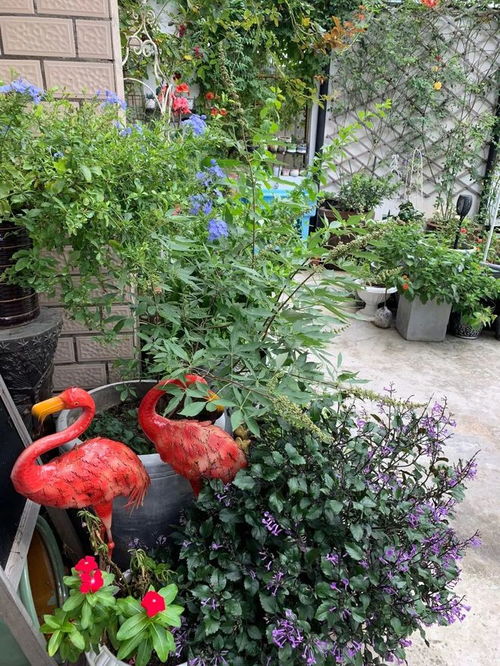 堅持生態(tài)優(yōu)先發(fā)展，全區(qū)共建人與自然和諧共生的大生態(tài)園藝