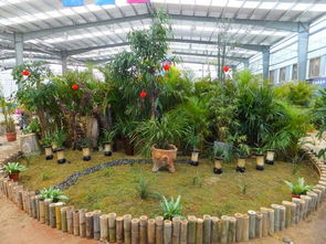 四川省農(nóng)業(yè)科學(xué)院園藝所精彩亮相第九屆中國三亞國際熱帶蘭花博覽會