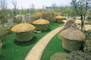 園博會暢游全攻略 園藝之美盡收眼底