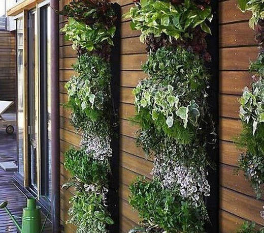 趕緊收藏啦 國外立體綠化經典案例精選