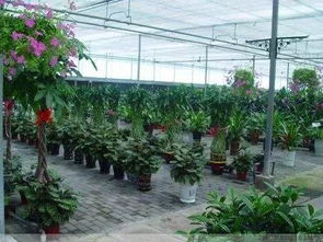 再見了，我們的大連西郊園藝超市