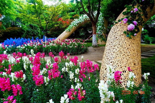 鮮花錦簇迎世界園藝博覽會 園藝藝術的全球盛宴