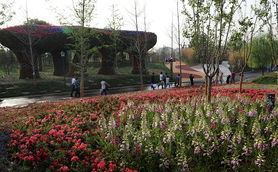 西安園藝博覽會園區今日盛大開幕 領略自然與園藝之美