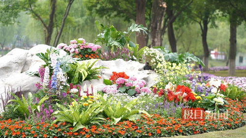 觀奇花，學園藝 世界花園大會引領花卉與園藝新風尚