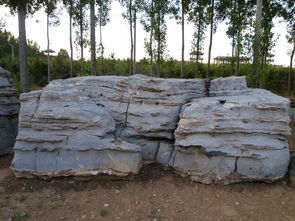 河北易縣遠東園藝商貿 打造精致園林景觀與自然美學