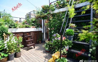 世茂中南璀璨云堤二期疊墅盛大開盤，盡享寧波園藝生活