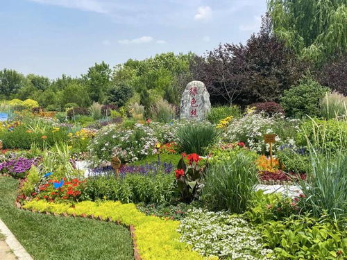 呼和浩特市第四屆園林園藝職工職業技能競賽盛大開幕