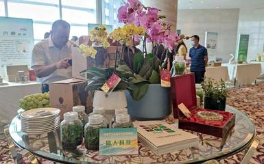 無(wú)錫園藝十大品牌出爐！你家陽(yáng)臺(tái)的綠意屬于誰(shuí)？