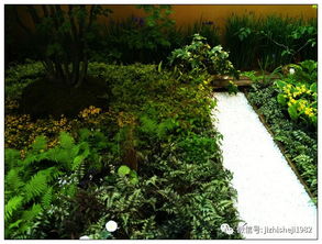 日本園藝展覽 自然與匠心的藝術盛宴