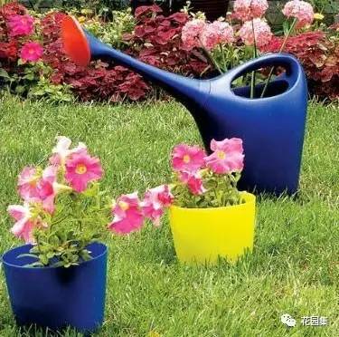 九件園藝工具，打造夢想中的完美庭院