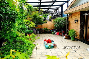 從地攤到論壇 家庭園藝的數字化變遷