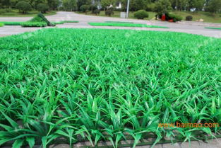 北京球場假草坪批發指南 生產廠家與價格解析