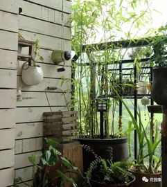 陽臺方寸間，心靈綠洲始 零基礎打造療愈花園指南